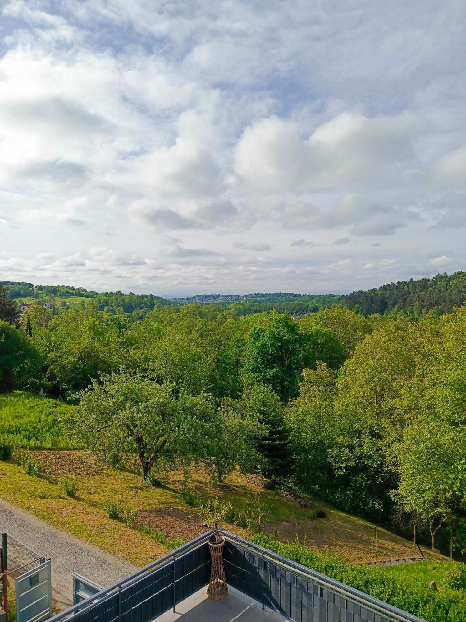 Noclegi U Ewusi 2 Januszowice  Extérieur photo